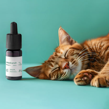 Ulei de Canabis CBD 5%, 500mg, Caini si Pisici, Full Spectrum, Medicanah, Aroma Sunca, 10ml